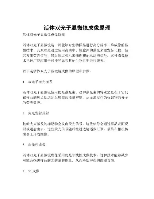 活体双光子显微镜成像原理