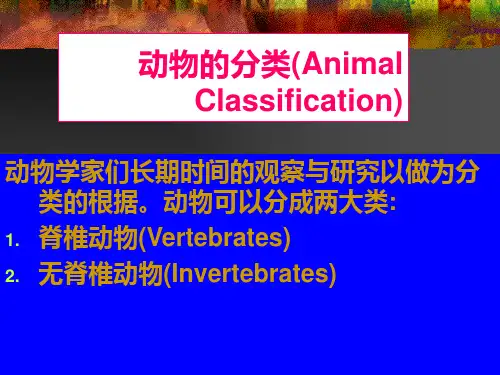 动物的分类PPT课件