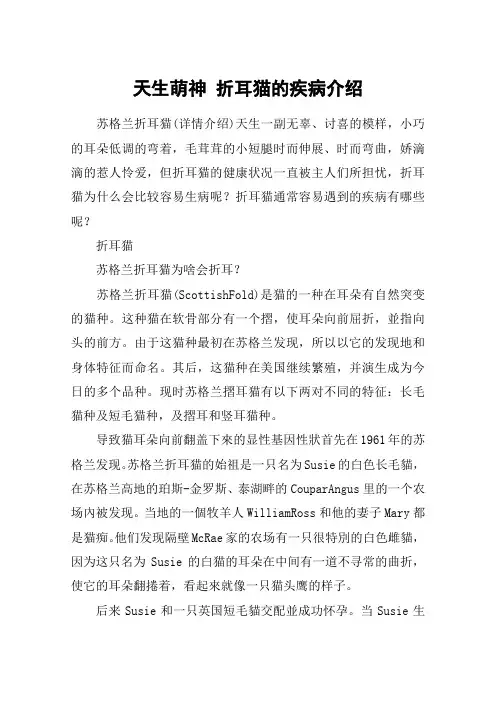 天生萌神 折耳猫的疾病介绍