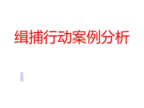 抓捕行动案例分析