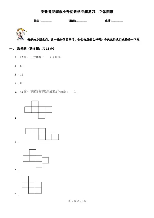 安徽省芜湖市小升初数学专题复习：立体图形