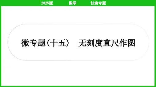 2025年中考数学总复习第一部分考点精讲第七章图形变化微专题(十五)无刻度直尺作图