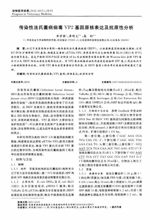 传染性法氏囊病病毒VP2基因原核表达及抗原性分析