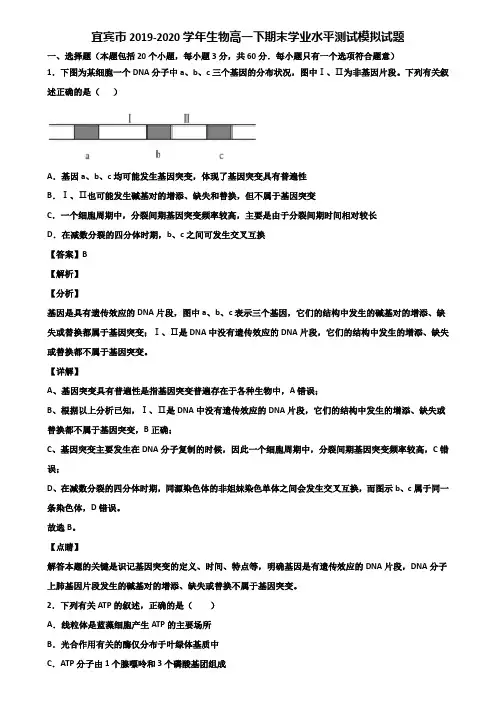宜宾市2019-2020学年生物高一下期末学业水平测试模拟试题含解析