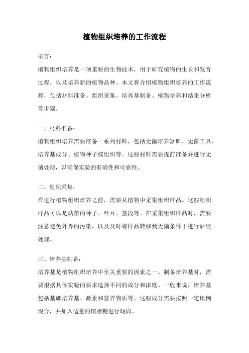 植物组织培养的工作流程