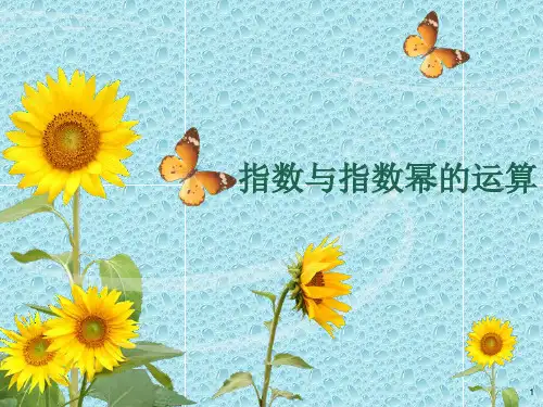 指数及其运算ppt课件