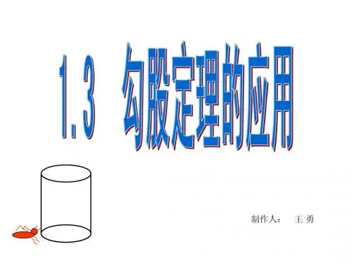 1.3  勾股定理的应用---完美版