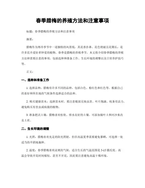 春季腊梅的养殖方法和注意事项