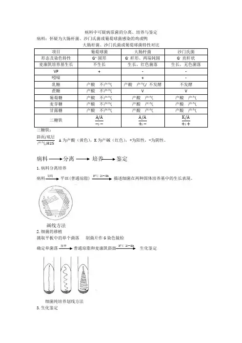 病料中可疑病原菌的分离