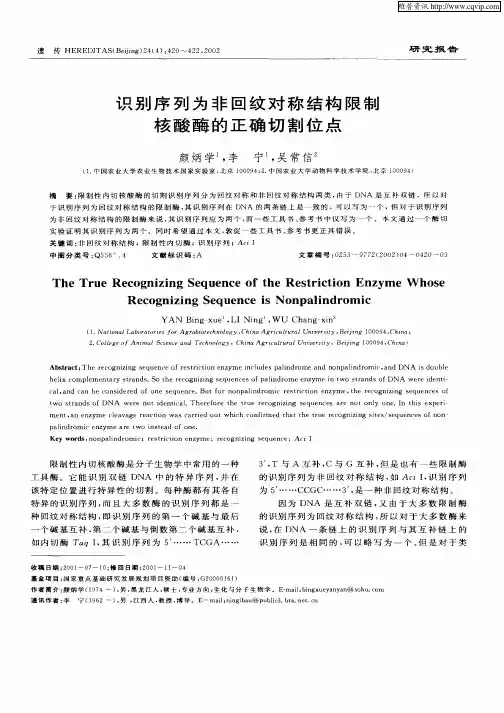 识别序列为非回纹对称结构限制核酸酶的正确切割位点