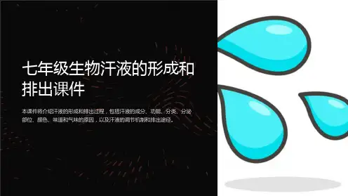 七年级生物汗液的形成和排出课件
