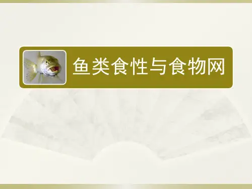 资源生物学基础-食物网)