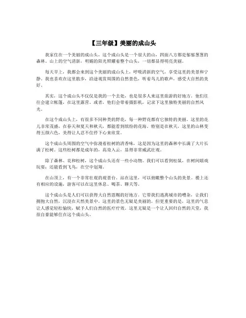 【三年级】美丽的成山头