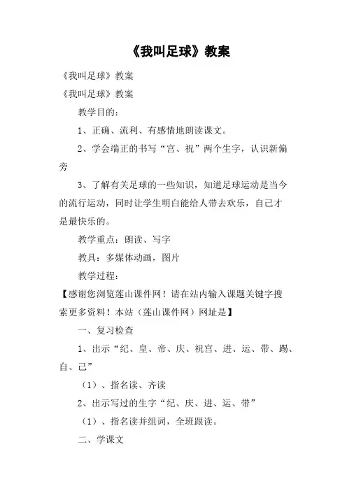 《我叫足球》教案