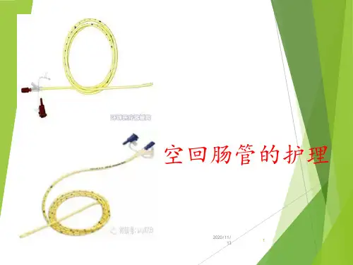 空肠营养管的护理 ppt课件