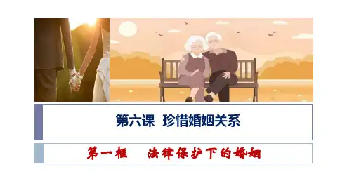 2022-2023学年高中政治统编版选择性必修二：6.1法律保护下的婚姻 课件(14张)