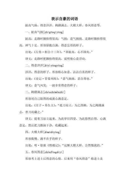 表示自豪的词语