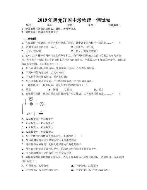 2019年黑龙江省中考物理一调试卷附解析