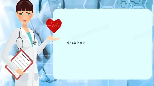 颈部血管解剖-(干货分享)