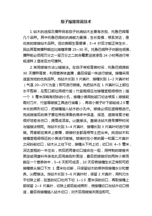 茄子嫁接育苗技术 2