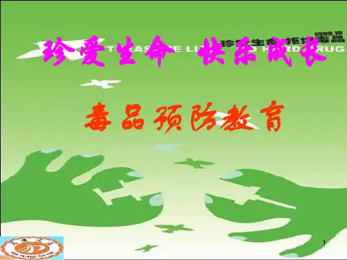 小学生毒品预防教育ppt课件