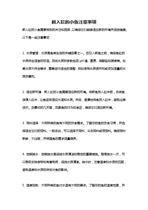 新入缸的小鱼注意事项