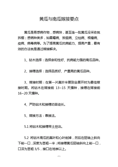 黄瓜与南瓜嫁接要点