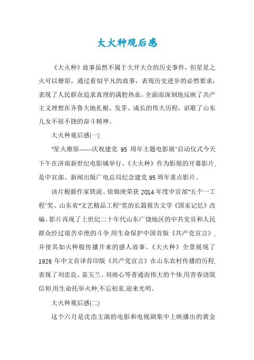 大火种观后感