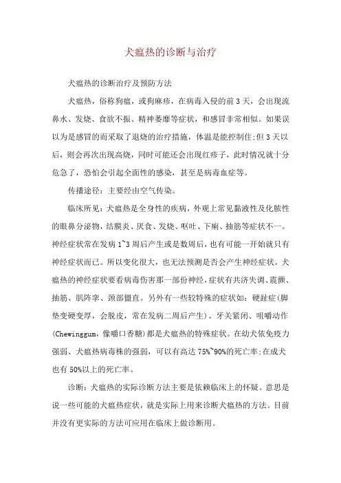 犬瘟热的诊断与治疗