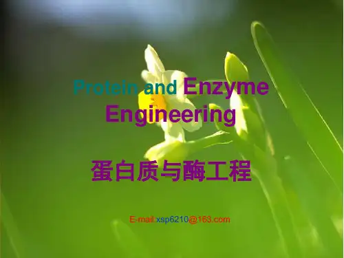 第二章 酶的分离工程