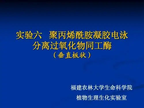 聚丙烯酰胺凝胶电泳分离过氧化物同工酶