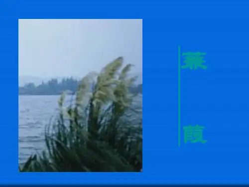第25课 蒹葭 大赛获奖精美课件 公开课一等奖课件