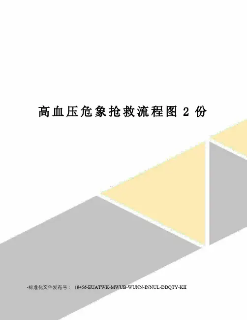 高血压危象抢救流程图2份