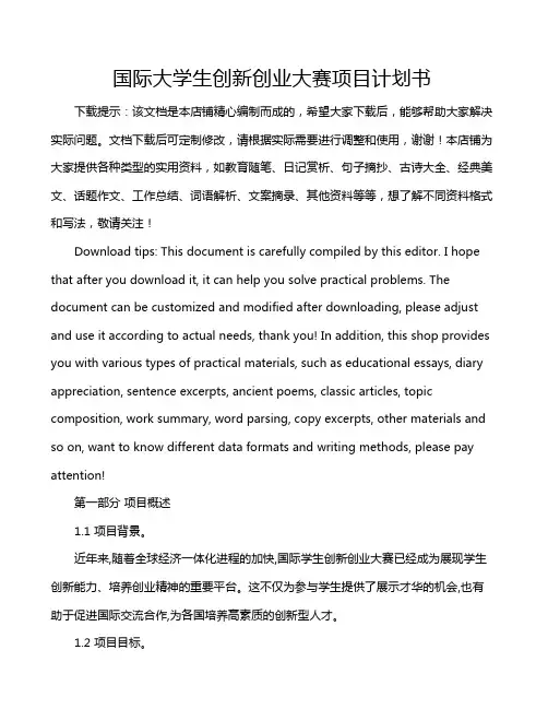 国际大学生创新创业大赛项目计划书
