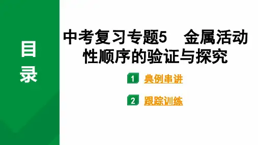 2025年化学中考复习专题5金属活动性顺序的验证与探究课件