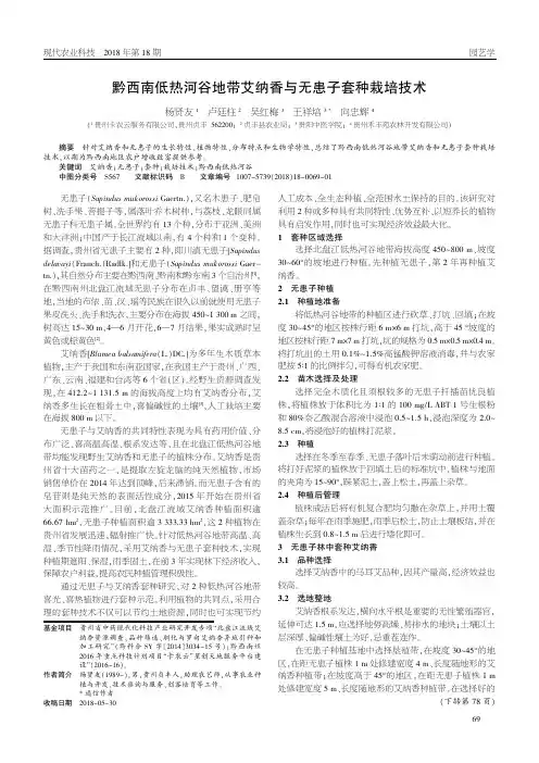 黔西南低热河谷地带艾纳香与无患子套种栽培技术