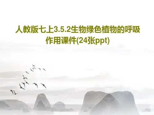 人教版七上3.5.2生物绿色植物的呼吸作用课件(24张ppt)共26页PPT