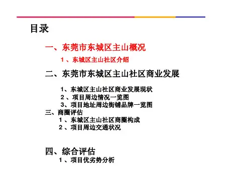 东莞东城区主山大井头商业情况市调报告