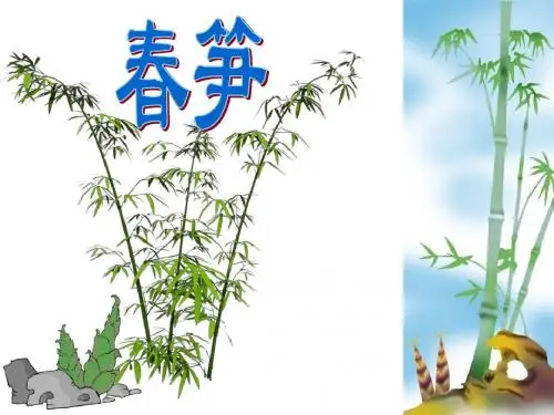 苏教版一年级语文下册春笋 课件