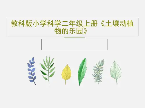 教科版小学科学二年级上册《土壤动植物的乐园》24页PPT