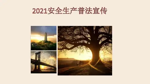 2021安全生产月资料  培训资料     EHS法律法规专题培训     安全生产普法宣传培训课件