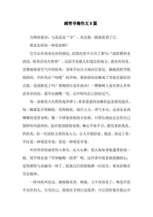 踏雪寻梅作文8篇精选