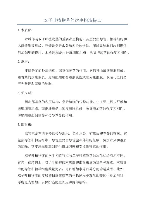 双子叶植物茎的次生构造特点