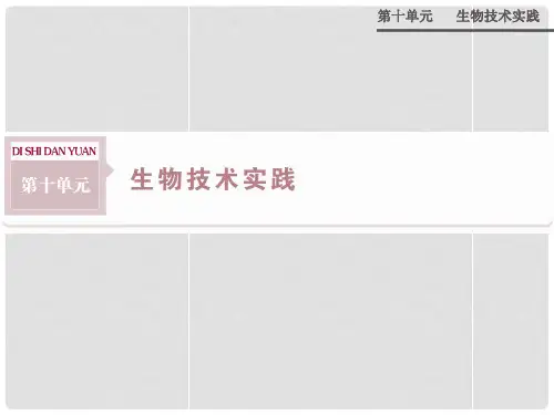 高考生物总复习 第十单元 专题1 传统发酵技术的应用配套课件