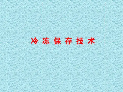 胚胎冷冻保存