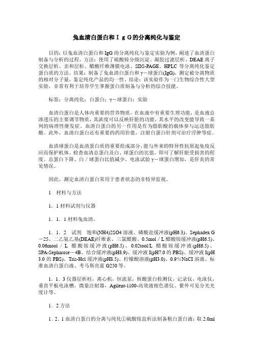 兔血清白蛋白和IgG的分离纯化与鉴定