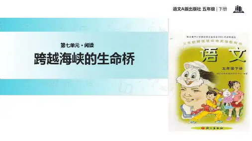 五年级下册语文课件19跨越海峡的生命桥∣语文A版 (共19张PPT)