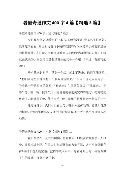 暑假奇遇作文400字4篇【3篇】