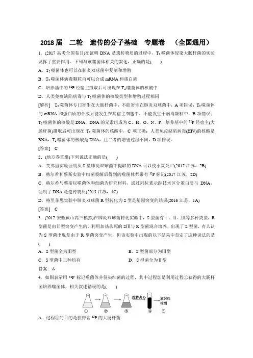 2018届  二轮  遗传的分子基础  专题卷  (全国通用)