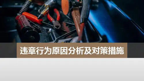 员工违章行为原因分析及对策措施